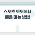 스포츠 토토